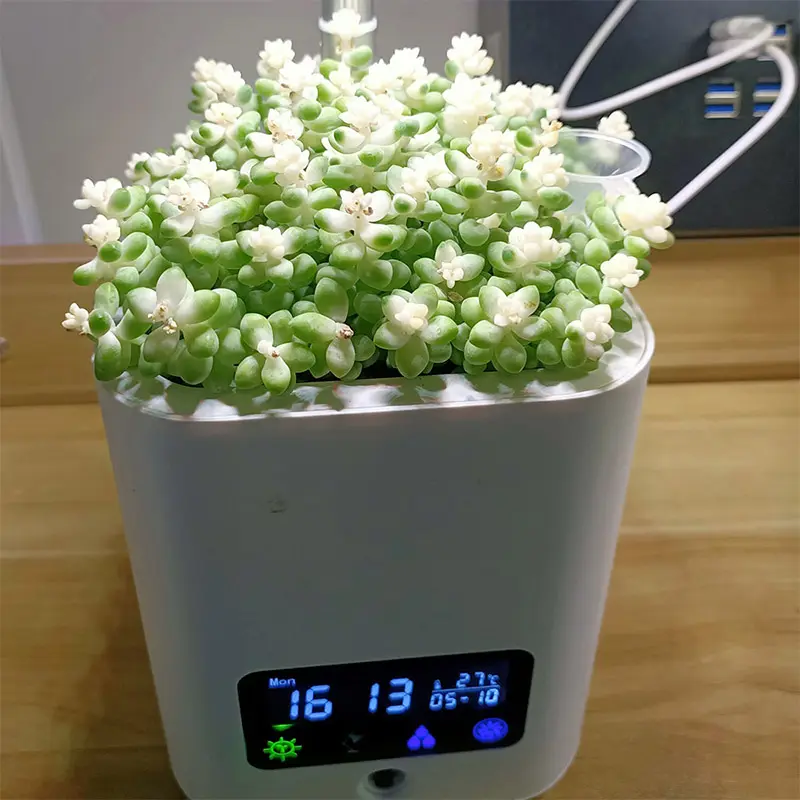 スマートミュージック植木鉢インテリジェントな本物の植物タッチプレイ植木鉢