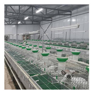 Nouvelle <span class=keywords><strong>Cage</strong></span> énergétique pour lapins de spécifications variées 8 /9/12/24 unités <span class=keywords><strong>Cage</strong></span> à lapin de style européen - Product Image 6
