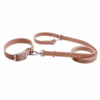 Ensemble collier et laisse pour chien en PVC de qualité supérieure, imperméable, durable, réglable, pour la promenade des chiens, OEM personnalisé
