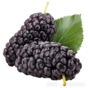 Polvere di gelso essiccata a spruzzo premio <span class=keywords><strong>100</strong></span>% naturale-senza additivi, ricchi di antociani, solubile istantaneo - Product Image 3