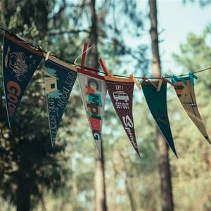 Класс школьной спортивной команды колледжа сублимации красочный Индивидуальный размер логотипа войлочный треугольный флаг и Баннер Вымпел - Product Image 5