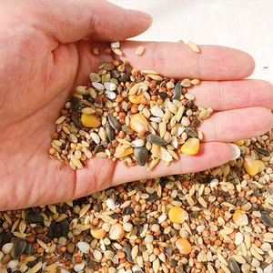 Bán Buôn Số Lượng Lớn Chất Lượng Cao Protein Động Vật Nhỏ Thức Ăn Vật Nuôi <span class=keywords><strong>Hamster</strong></span> Thực Phẩm Xử Lý Đồ Ăn Nhẹ - Product Image 4