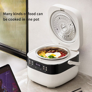 Cuisinière à <span class=keywords><strong>riz</strong></span> électrique multifonctionnelle automatique 3L pour cuisson de <span class=keywords><strong>riz</strong></span>, faible teneur en glucides, ensemble d'ustensiles de cuisson coréens, petite cuisinière à <span class=keywords><strong>riz</strong></span> intelligente en acier inoxydable - Product Image 3