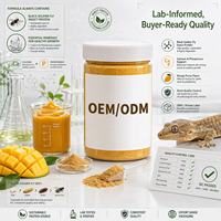 Reptielen Fruit Smaak Insectenpoeder Gekko Kleine Hagedis Zachte Pasta Aangepaste Formule Privélabel Fabrieksdirect Bulk Supplementen