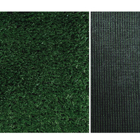 Gazon artificiel, tapis de gazon synthétique, décoration murale, construction, gazon artificiel, Grama
