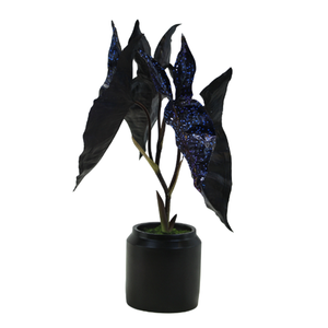 ใบไม้ปลอมปะการังทาร์โร่สีดำทำจาก PU alocasia gageana ห้างสรรพสินค้าโรงแรม - Product Image 1