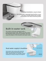 G002 Toilette intelligente murale suspendue Toilette électrique avec lumière en acier inoxydable Luxe
