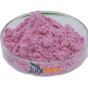 Julyherb Food Grade Granaatappelextract 100% Bevroren Droge Granaatappelpoeder