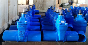 Evk dễ uốn sắt PN10/PN16 ggg50 đồng bằng kết thúc EPDM cao su ngồi Van cổng với bảo hành 3 năm - Product Image 6