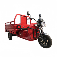 Tricycles électriques pour adultes pas chers 48V, grand tricycle à 3 roues, tricycle cargo chinois