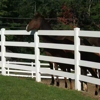 Clôture à cheval en PVC en vinyle blanc résistant aux UV Offre Spéciale pour ferme et enclos