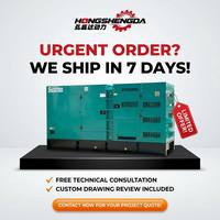 Generador Diésel Cummins Silencioso de 250 kVA 200 kW con Alternador Original Stamford Trifásico Insonorizado para Uso Industrial y de Respaldo de Energía, Certificado CE