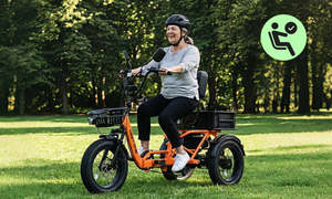 Tricycle électrique à trois roues Meetone Heavy Duty Iron pour passagers et marchandises, capacité de charge de 200-300 kg, exportation vers l'Amérique du Sud et l'Afrique - Product Image 4