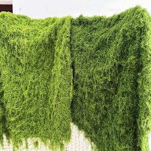 Tapis de <span class=keywords><strong>mousse</strong></span> en plastique de gazon de <span class=keywords><strong>mousse</strong></span> verte artificielle plantes réalistes mur de <span class=keywords><strong>mousse</strong></span> sol de paysage de jardin pour la décoration de restaurant - Product Image 3