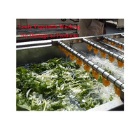 Op Maat Gemaakte Industriële Fruitwasmachine Kleinschalige Blad-En Wortelgroentepalmdadels Wasmachine Reinigingsmachine