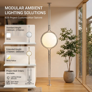 Nouvelle Lampe sur Pied Artistique Minimaliste Moderne avec Éclairage Ambiant Réglable pour Salons et Chambres (Chevet) - Product Image 5