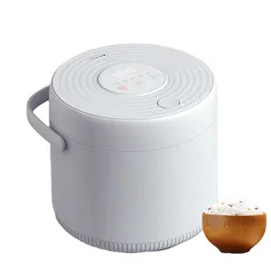 Digital European Portable Travel Electronic International Cake Cooker Electric Rice With Steamer