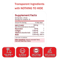 Poudre de collagène NAD+ enrichie en vitamine C, formule privée, pour le blanchiment de la peau et l'anti-âge, avec acide hyaluronique ajouté, support OEM