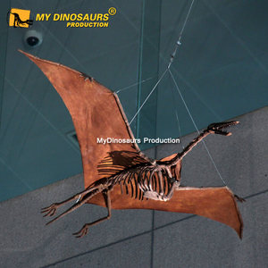 My Dino DS024 - <span class=keywords><strong>Esqueleto</strong></span> de Pterodáctilo Volador Realista para Decoración de Parques Temáticos de Diversión, en Venta - Product Image 4