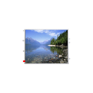 Tableta TM097TDHG06 con pantalla LCD de alta calidad de 9.7 pulgadas, 1024(RGB)*768 XGA, 132PPI, WLED, 30K horas de duración, para uso industrial. - Product Image 1