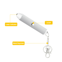 Jouet pour chat interactif amusant et moderne en plastique écologique avec pointeur laser à un seul point - Utilisation en intérieur