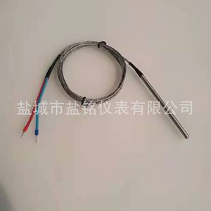 Salt Inscription J Type Thermocouple Probe Wrf 191 Wire Leads Temperature Sensor Yancheng Origin - Product Image 1