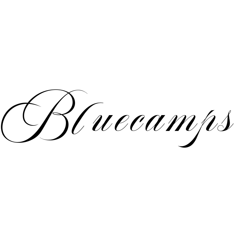 Suzhou Bluecamps Culture Creativity Co., Ltd. logo