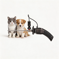 Système de caméra endoscopique vétérinaire sans fil portable Dajing Smart U1 4K avec boîtier métallique pour CHIEN, CHAT, LAPIN, OISEAU