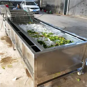 vegetable fruit washing machine mango apple lettuce washing processing line