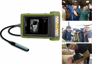 Rku 10 Ultrasound Vet Rku10 Kaixin Rku10 Ecografo Ultrasonido Ultrassom - Product Image 3