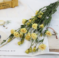 Fleurs et plantes séchées fleur de lisianthus couleur naturelle gentiane des prairies fleurs décoratives plantes
