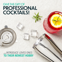 Kit de barman en acier inoxydable 16 pièces, ensemble de shaker à cocktails et à café avec support pour bar à domicile