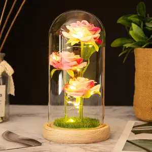 Trois idées de cadeaux de la Saint-Valentin de fleurs préservées Lumières LED enchantées dans des ornements de rose éternelle en dôme de verre