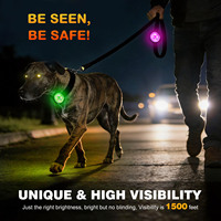 Lampe LED de sécurité pour chien, personnalisable, étanche IPX7, rechargeable par USB, 15 modes, multicolore, pour la marche nocturne en extérieur, fabriquée en usine BSCI