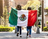 100% polyester 90x150cm 3x5 pieds taille brodé drapeau national mexicain Logo personnalisable pour une utilisation automobile matériau en nylon satiné