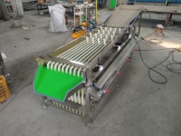 Hete verkoop Blauwe Bes Sorteermachine Fruit Sorteermachine Walnoot Sorteermachine