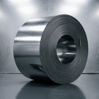 H23GK095 0.23mm CRGO Gulungan Baja Silikon Berorientasi Butiran (Grain Oriented Silicon Steel Coil) Rendah Kebisingan Rendah Kehilangan Energi untuk Inti Transformator Distribusi