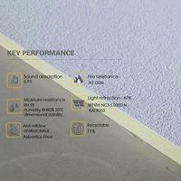 Plâtre Acoustique Ultra-Lisse Moderne Super Lisse Mono Sans Joint Insonorisant pour Plafond Suspendu en Laine Minérale Pulvérisée