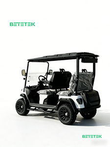 Электрический гольф-кар LSV (низкоскоростное транспортное средство) — 4-местный, с увеличенным запасом хода, для гольф-полей и прогулок по саду - Product Image 5