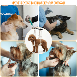 Hamaca para Perros, Arnés, Soporte, Hamaca para Mascotas Pequeñas, Medianas y Grandes, Cortauñas, Recorte - Product Image 4