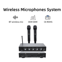 Machine de mixage karaoké avec microphone sans fil, connexion Bluetooth, effets audio, compatible avec les haut-parleurs TV, système de cinéma maison