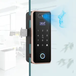 Tuya wi-fi Smart Glass Door Lock Suporte Reconhecimento Facial/Cartão IC/Impressão Digital/APP/Senha/Controle Remoto/Desbloqueio Chave