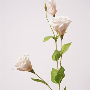 Decoración para el Hogar, Flores Artificiales de Lisianthus de Alta Calidad con Tacto Real, Campanas Hidratantes, Gentianas de Pradera - Product Image 6