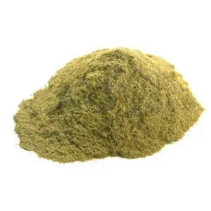 Sex Enhancer Horny Goat Weed 10% Epimedium Sagittatum Seeds Icariin Powder Epimedium Extract