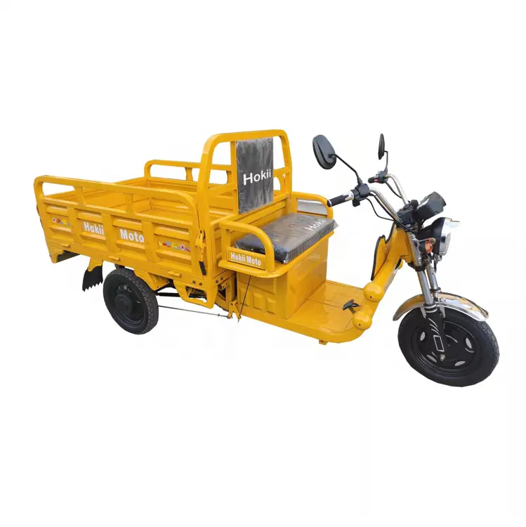 Tuk elétrico de triciclo elétrico de carga para venda