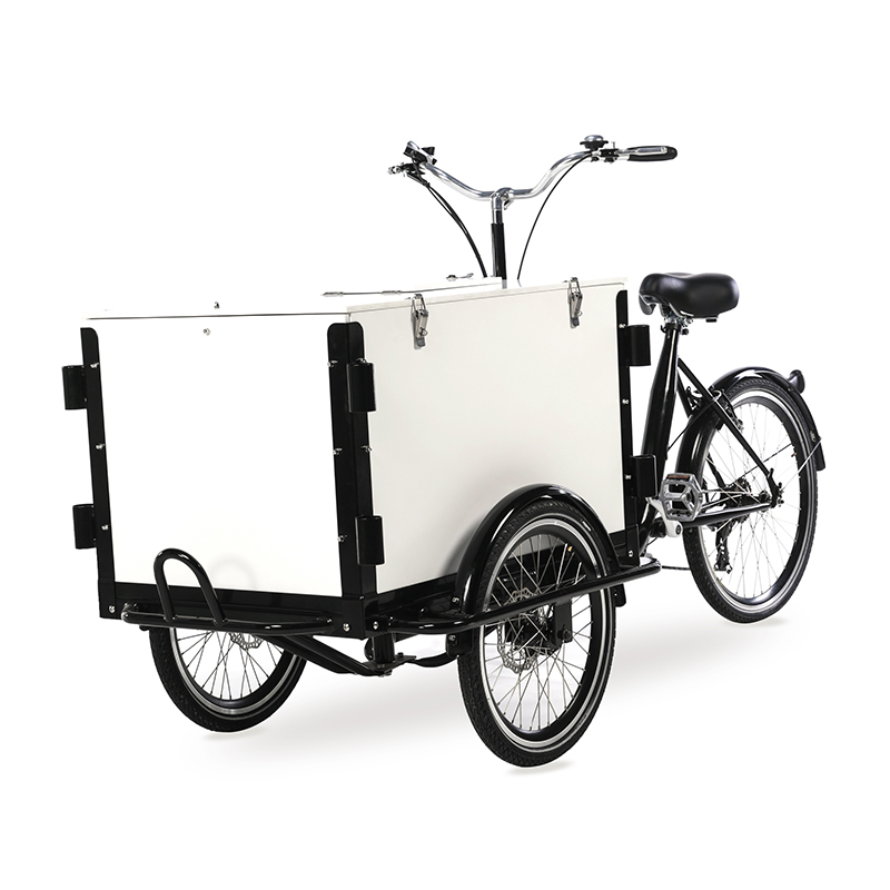 レトロ電動カーゴバイク250Wモーターパワーアシストカーゴ三輪車