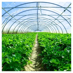 China supplier plastic greenhouse covering etfe greenhouse film for strawberry tomato