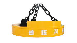 Elettromagnete di Sollevamento Capace di Sollevare 1000g in Condizioni Fredde 800g in Condizioni Calde - Product Image 2