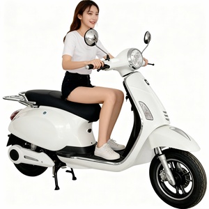 1000W Retro Electric Scooter, 10" Wheels, Drum &amp; Disc Brakes, 45km/<strong>h</strong> Commuting E-Scooter Customizable Products Made in China - Product Image 5