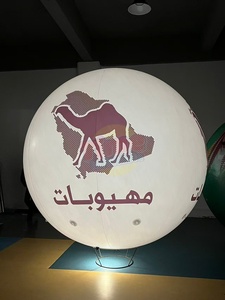 Globo Inflable Gigante de PVC de 2m 3m con Logotipo, Globo LED RGB con Control Remoto, Globos Inflables Publicitarios de Helio para Festivales - Product Image 4